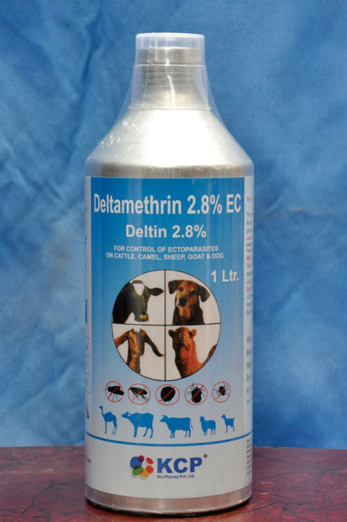 pet